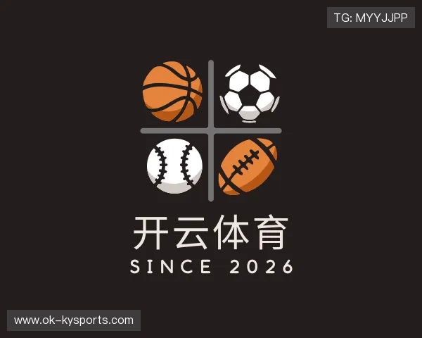 关于开云体育app网页版